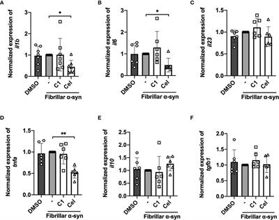 Celastrol Downmodulates Alpha-Synuclein-Specific T Cell Responses by Mediating Antigen Trafficking in Dendritic Cells